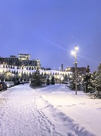 photo_1.jpg